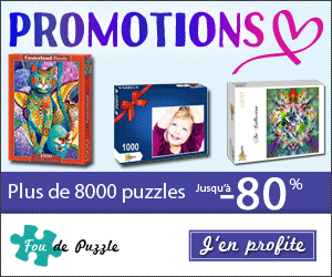 Fou de Puzzle
